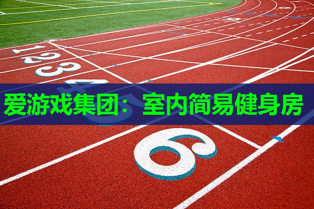 爱游戏集团：室内简易健身房