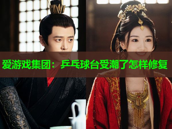 爱游戏集团：乒乓球台受潮了怎样修复