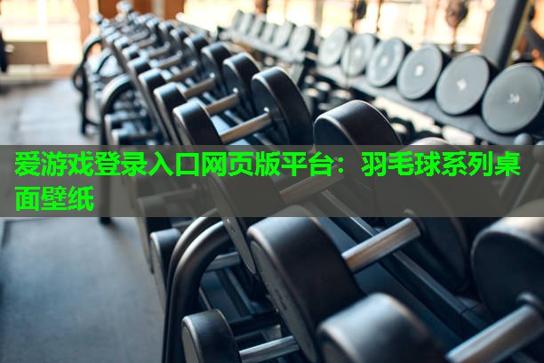 爱游戏登录入口网页版平台：羽毛球系列桌面壁纸