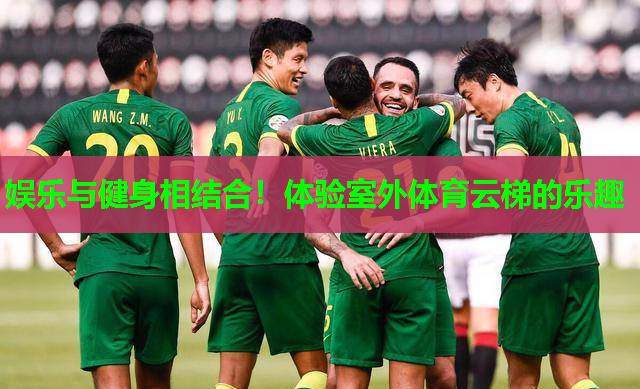 娱乐与健身相结合！体验室外体育云梯的乐趣