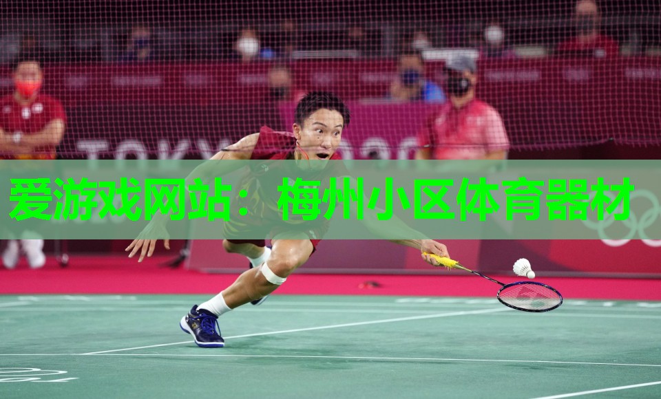 爱游戏网站：梅州小区体育器材