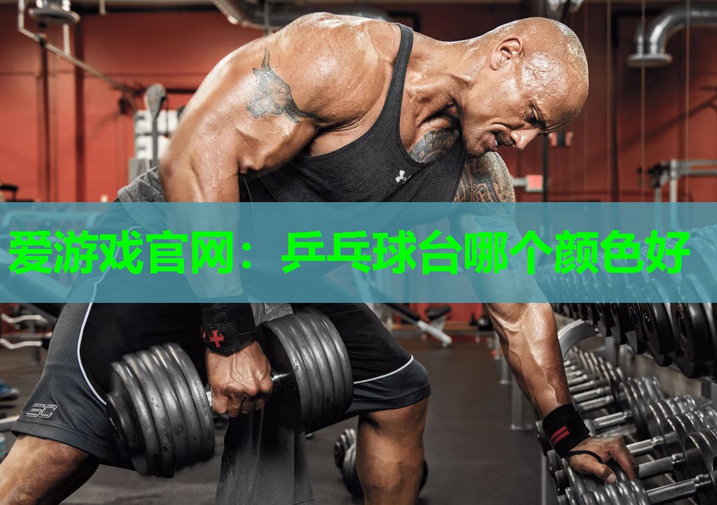 乒乓球台哪个颜色好