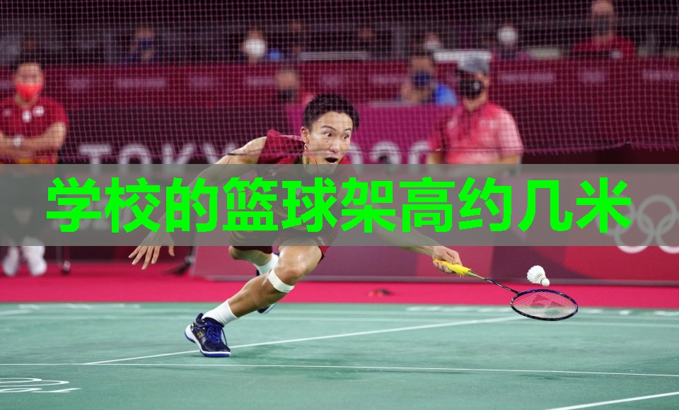 学校的篮球架高约几米